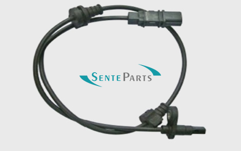 SAS0019