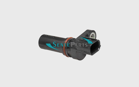 SCK0019
